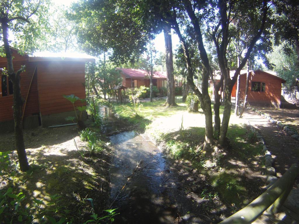 Cabanas Santa Maria Pucón Esterno foto